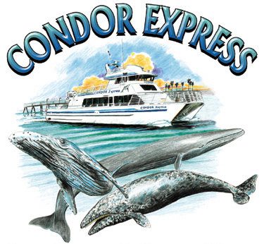 https://sbnl.org/wp-content/uploads/2025/07/condor-express-logo.jpg